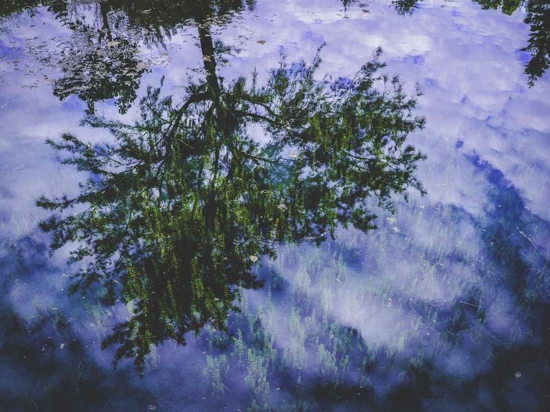 Rodrigo Ledesma Córdoba